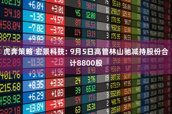 虎奔策略 宏景科技: 9月5日高管林山驰减持股份合计8800股