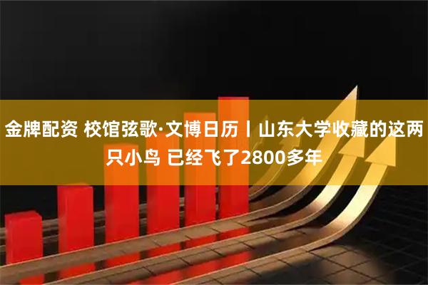 金牌配资 校馆弦歌·文博日历丨山东大学收藏的这两只小鸟 已经飞了2800多年