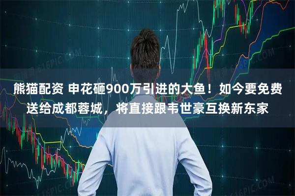 熊猫配资 申花砸900万引进的大鱼！如今要免费送给成都蓉城，将直接跟韦世豪互换新东家