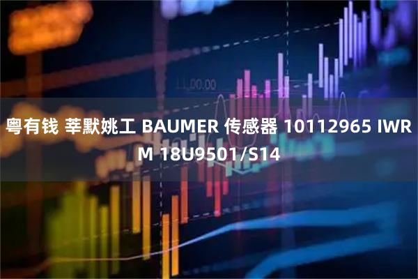 粤有钱 莘默姚工 BAUMER 传感器 10112965 IWRM 18U9501/S14