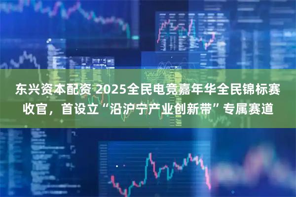 东兴资本配资 2025全民电竞嘉年华全民锦标赛收官，首设立“沿沪宁产业创新带”专属赛道